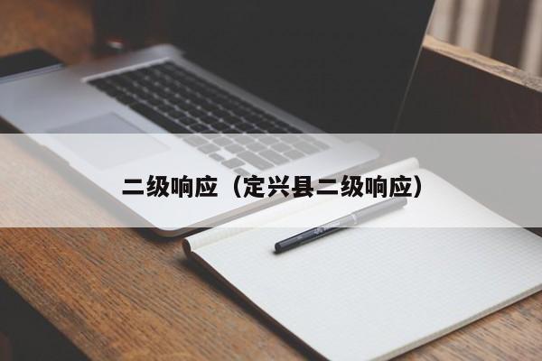 二级响应（定兴县二级响应）