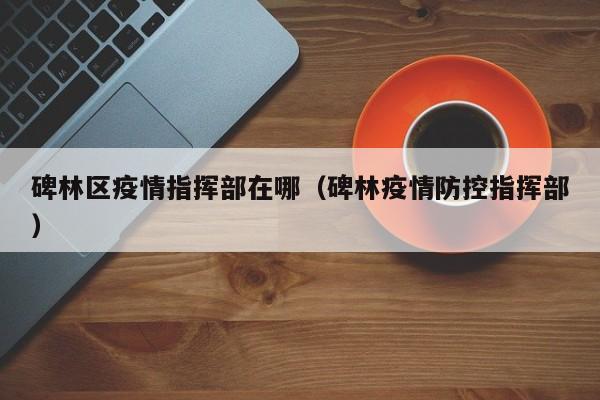 碑林区疫情指挥部在哪（碑林疫情防控指挥部）