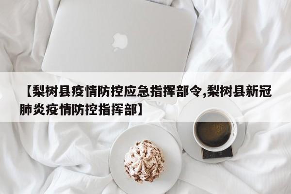 【梨树县疫情防控应急指挥部令,梨树县新冠肺炎疫情防控指挥部】