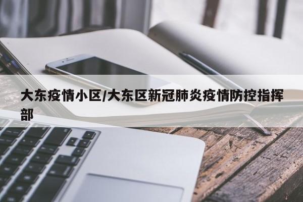 大东疫情小区/大东区新冠肺炎疫情防控指挥部